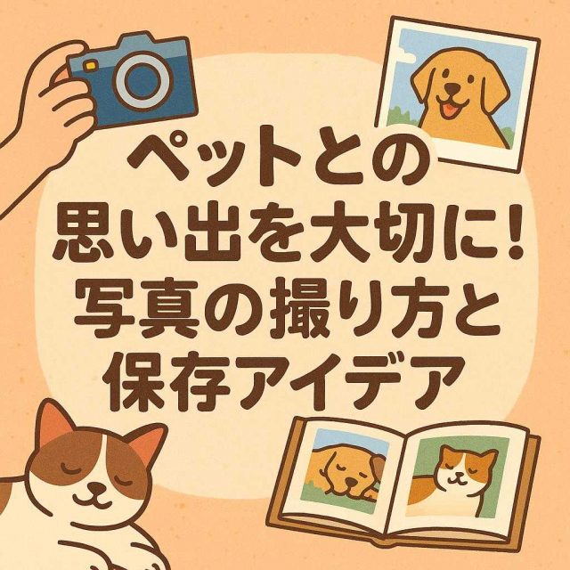ペットとの思い出を大切に！写真の撮り方と保存アイデア