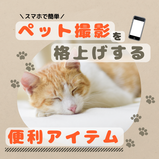 スマホでも簡単！ペット撮影を格上げする便利アイテム