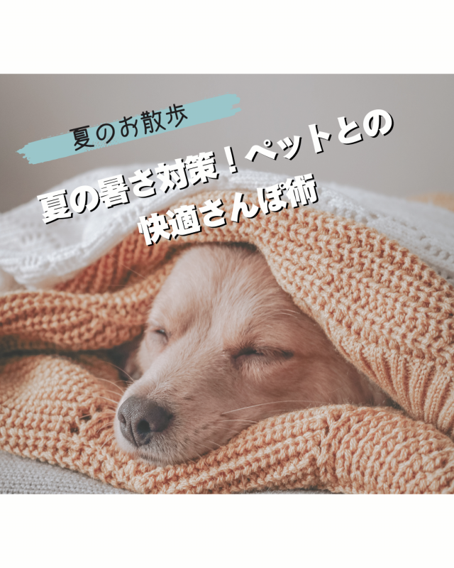 夏の暑さ対策！ペットとの快適さんぽ術