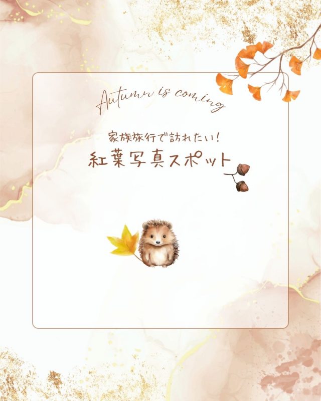 家族旅行で訪れたい！秋の紅葉と子供の写真スポット