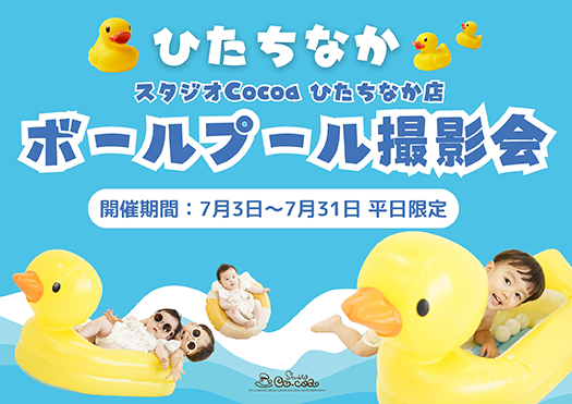 今年も開催！ボールプール撮影会！