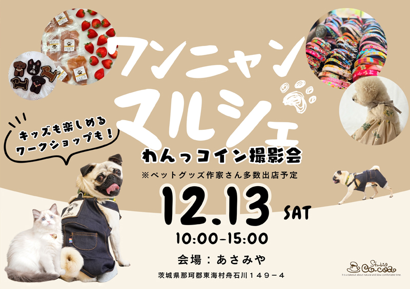 ワンニャンマルシェ　わんっコイン撮影会