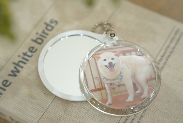 愛犬の日フォトキャンペーン