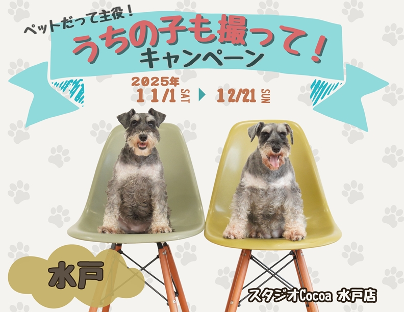 うちの子も撮って！キャンペーン