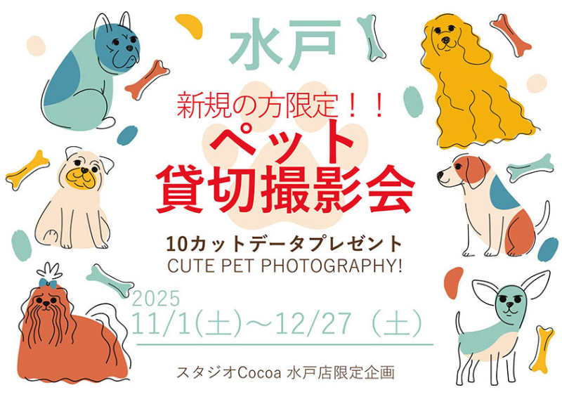 ペット貸切撮影会