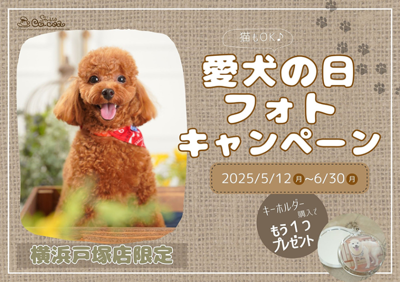 愛犬の日フォトキャンペーン