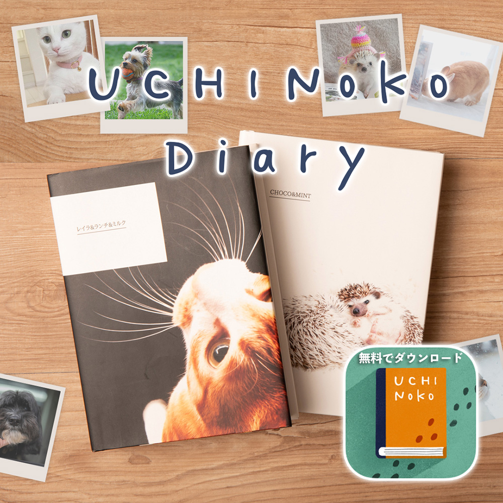 UCHINOKO Diary