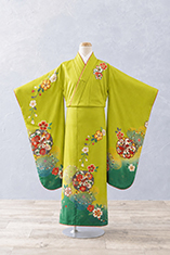 流山店の衣装（7歳）